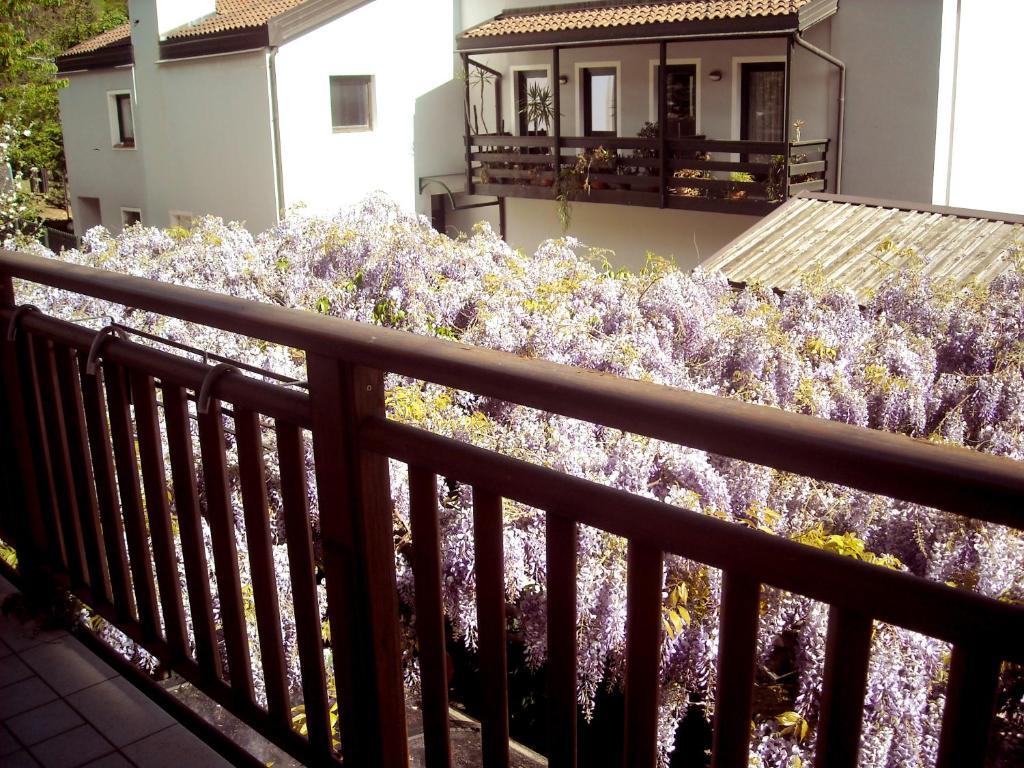Hotel Faedo Pineta Номер фото