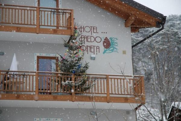 Hotel Faedo Pineta Номер фото