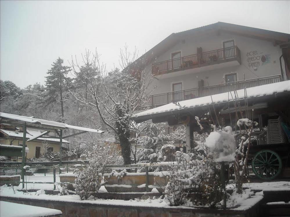 Hotel Faedo Pineta Экстерьер фото